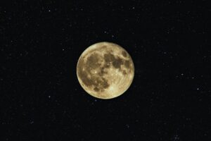 black night sky with a full moon Tag: 2020 year in review